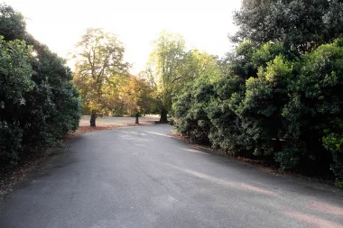 Parc Bordelais (5).